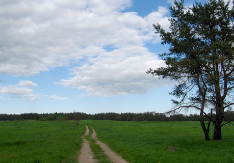дорога 