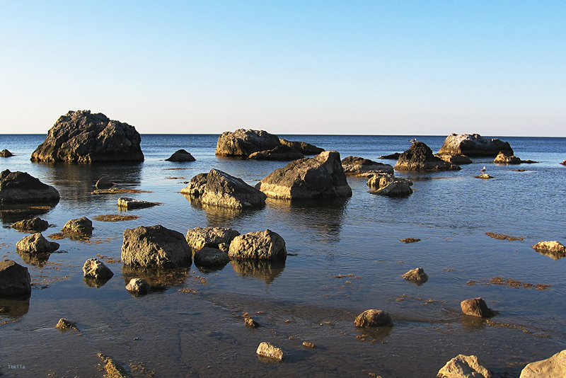 *** черное море крабий мыс