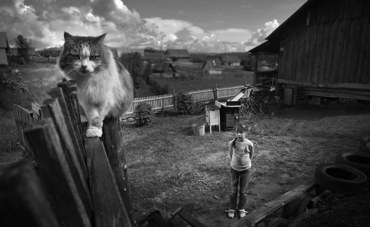 Сталкер кот Баюн. 