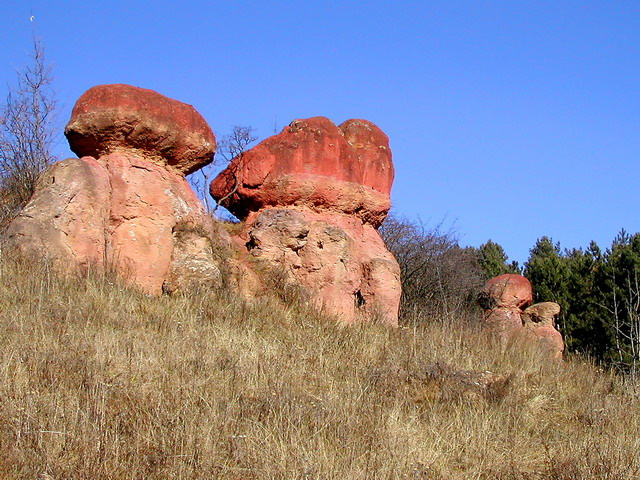 Красные грибы Кисловодск терренкур Красные грибы
