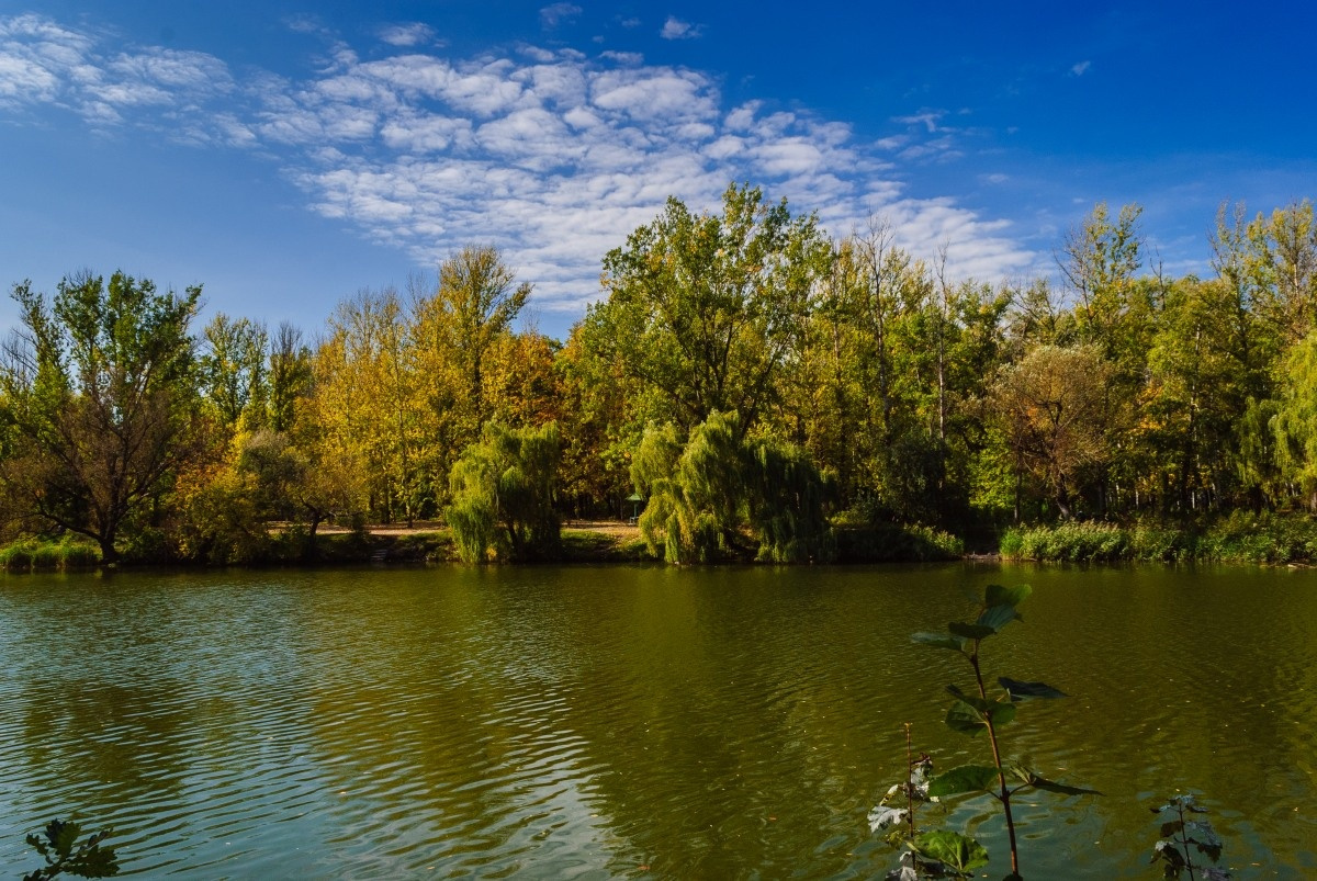 Indian Summer 