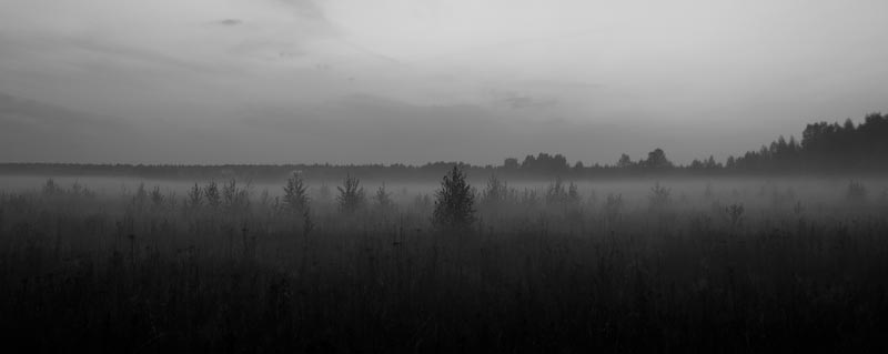 misty morning утро поле туман