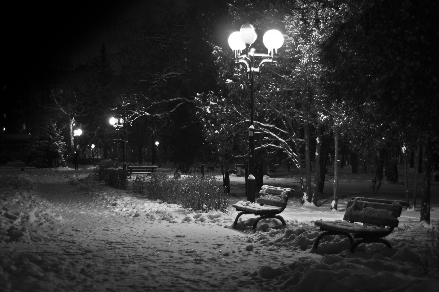 Вечерний парк 