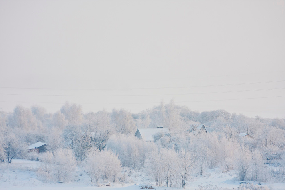 *winter white 