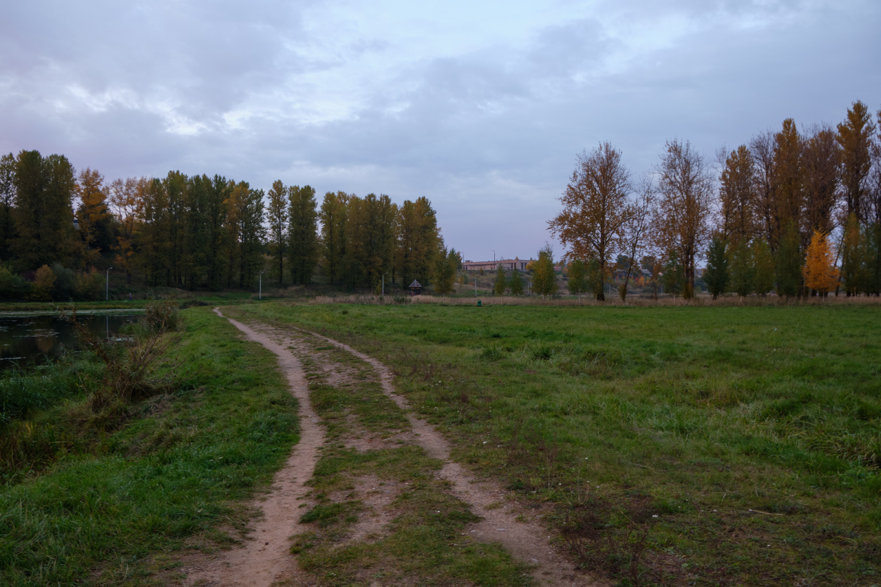 Осень в парке 4 парк дорога трава деревья небо облака