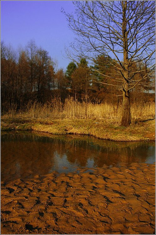 Мёртвая река песок вода берег трава