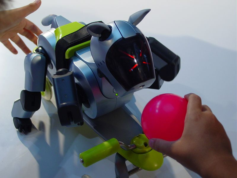 Ура!!! Мячик!!! AIBO, собака