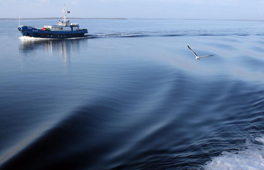 Белое море 150 км до Полярного Круга