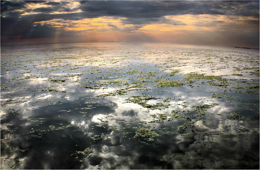 всётаки она круглая водрасли вода закат