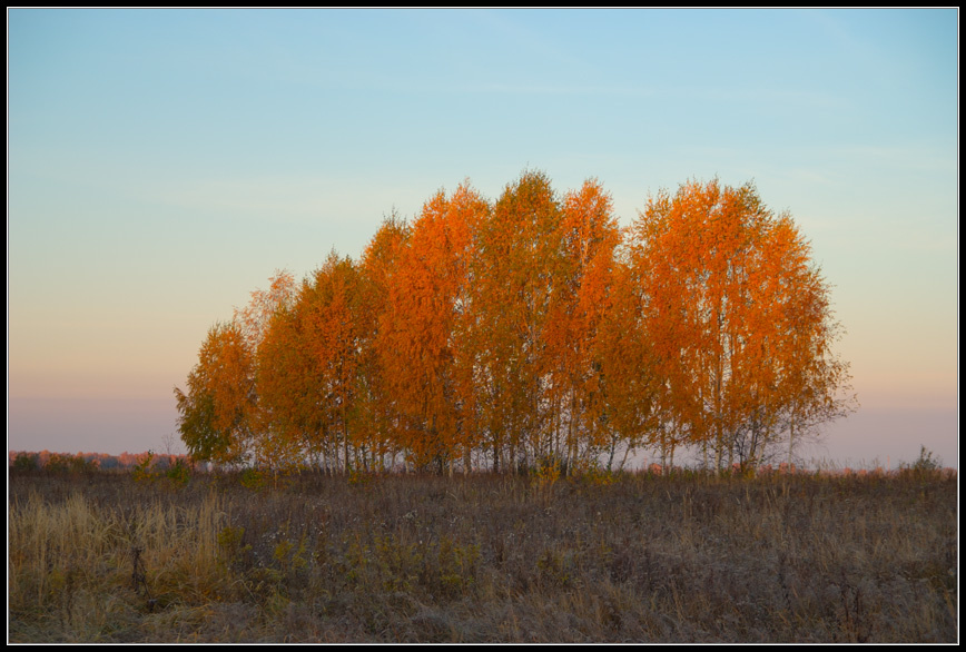 Рассвет... Siberia.