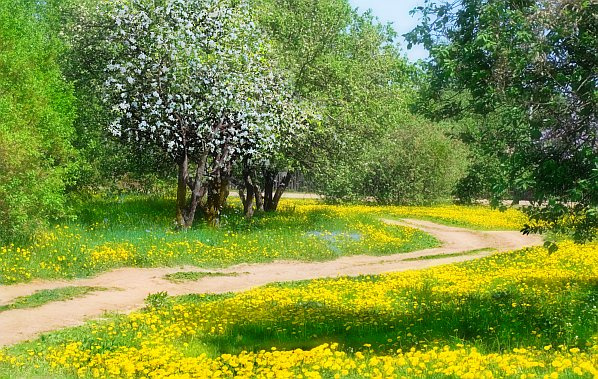 Одуванчиковый поворот. 