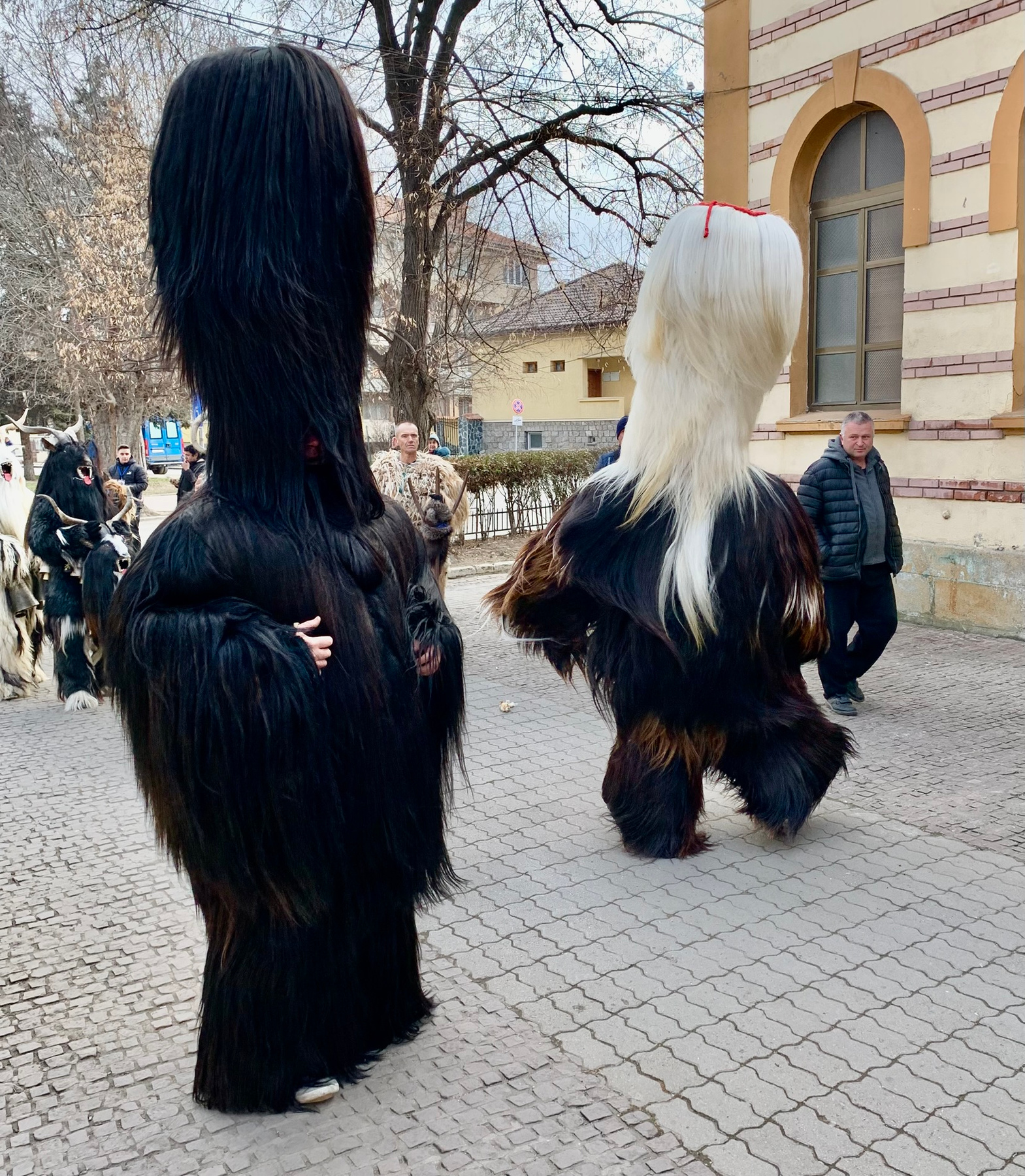 чауши 