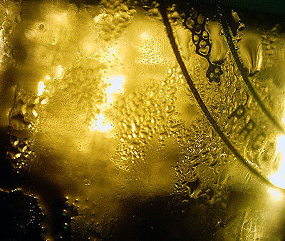 Beer | 2 