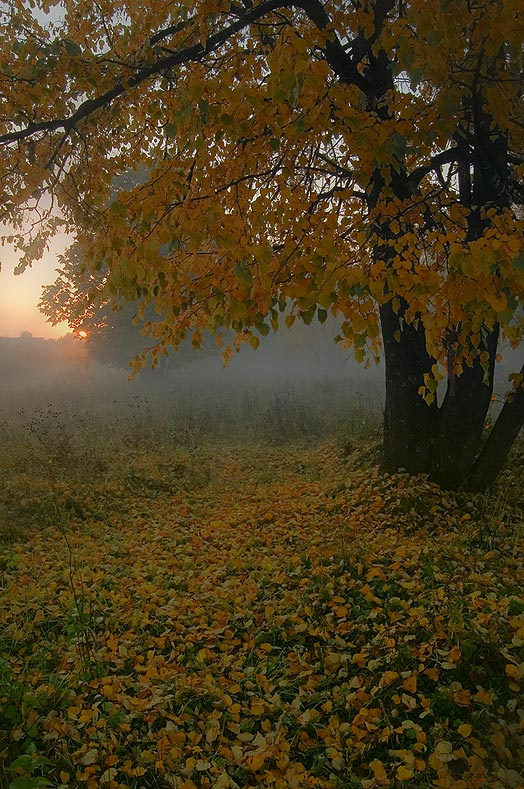 Осенние зарисовки 