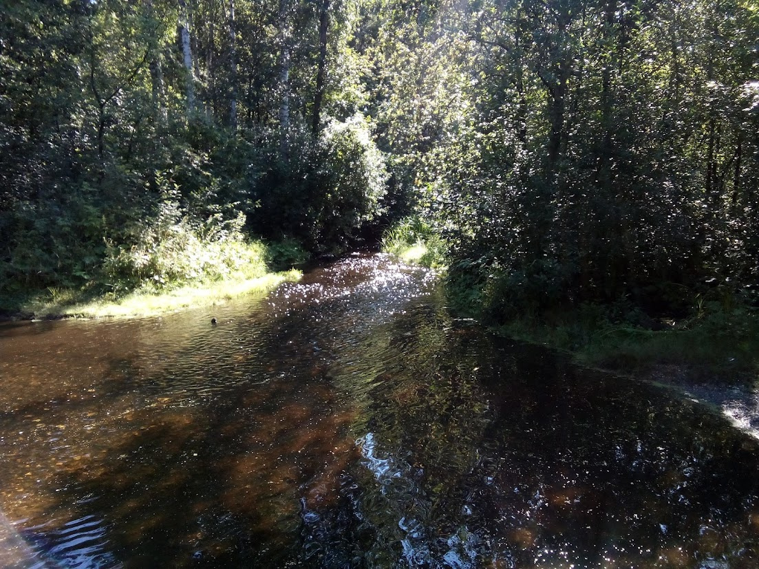 Калиновка 