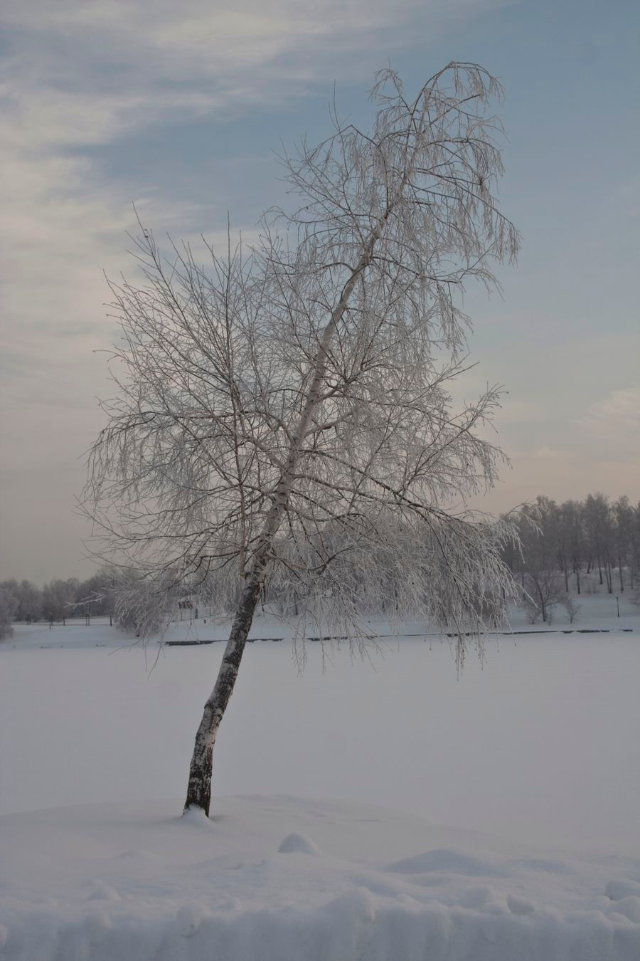 Одиночество. 