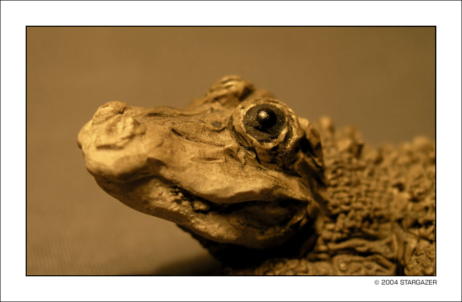 Crocodile 