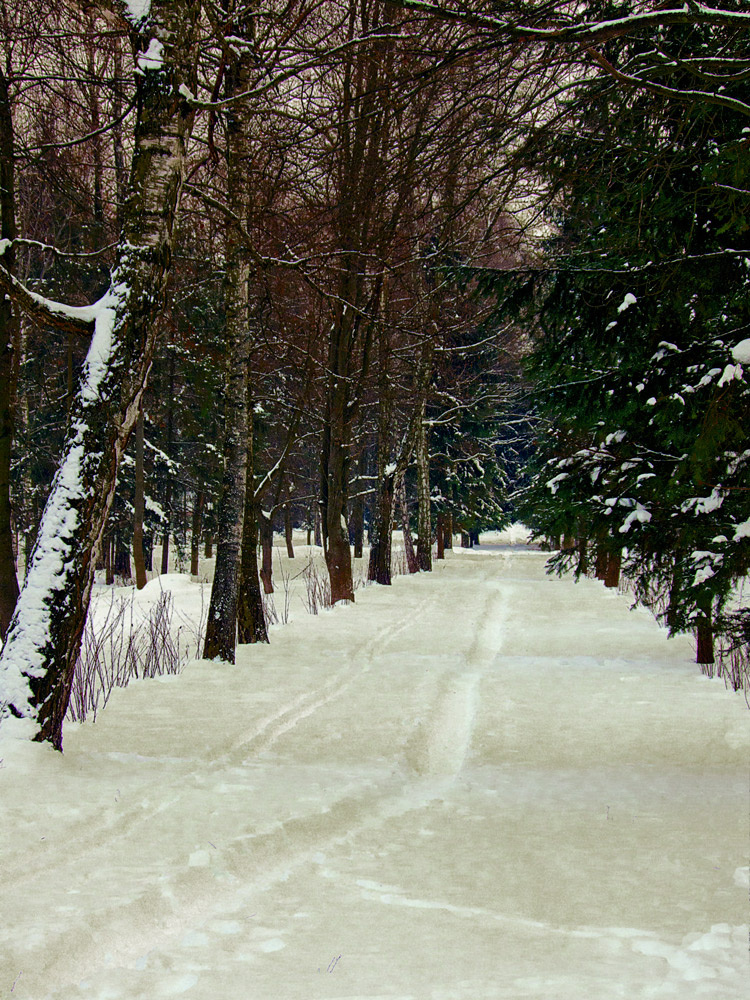 Зимняя дорога 
