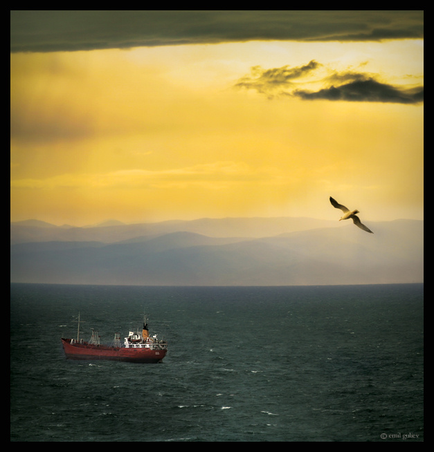before the Storm 