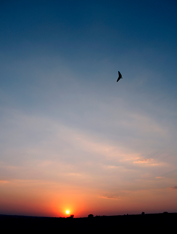 Flyer Reezy, evening, moldova, sky, blue, sun, sunset