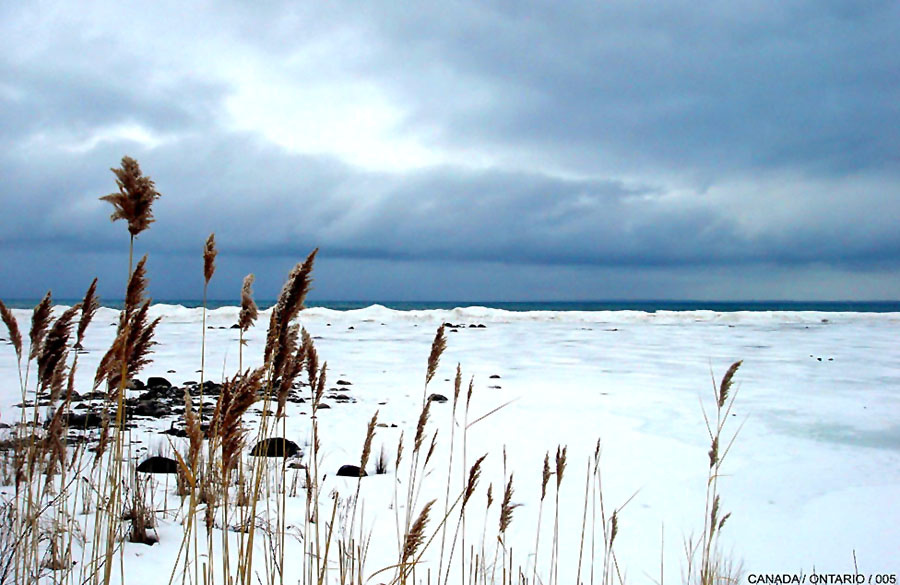 | half-and-half | ontario | ontario lake