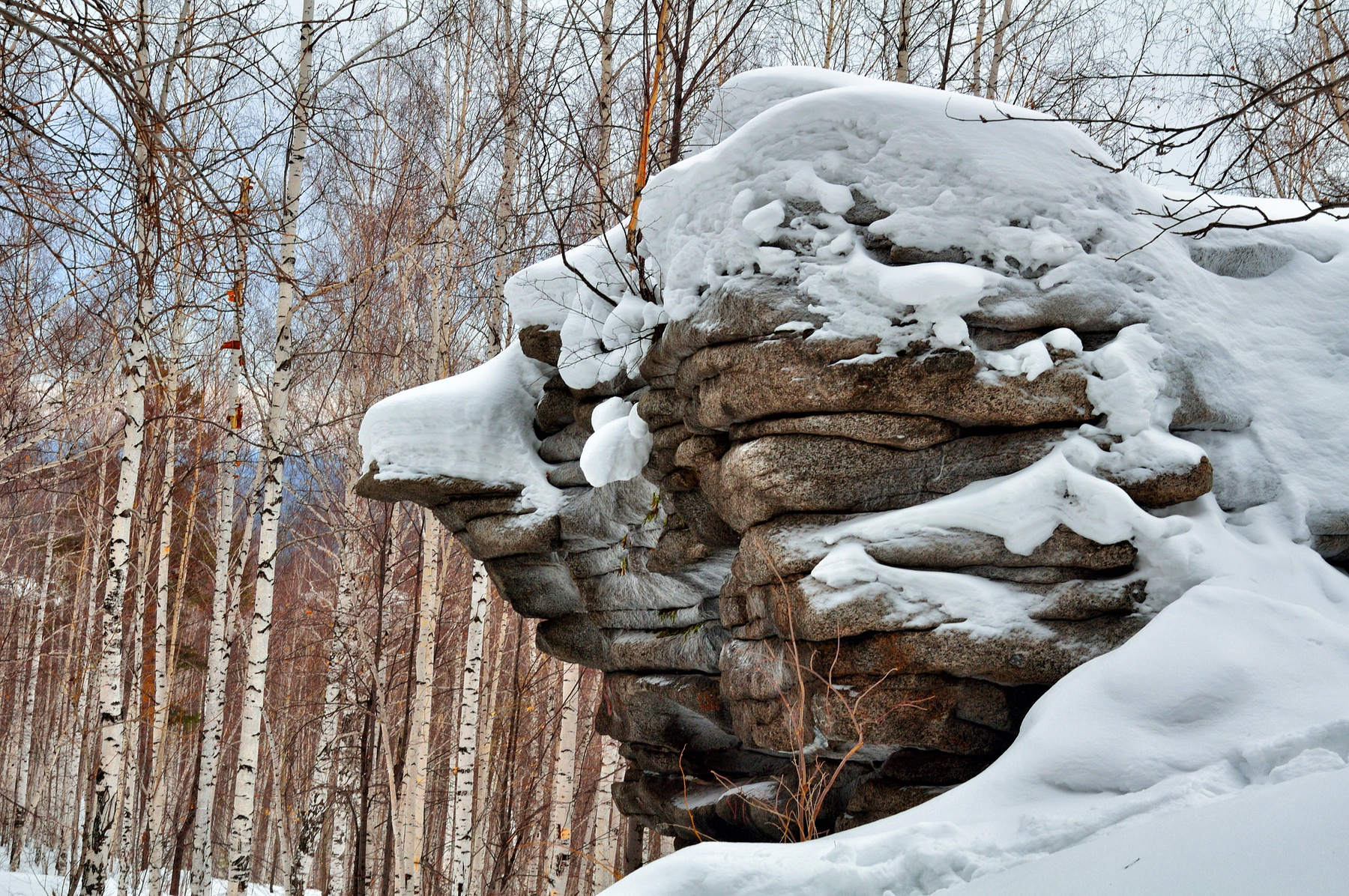 Голова 