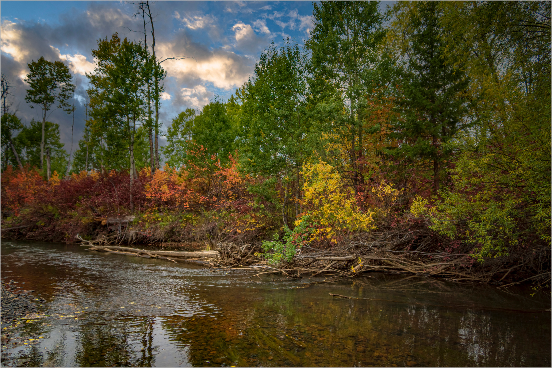 Сибирская осень природа