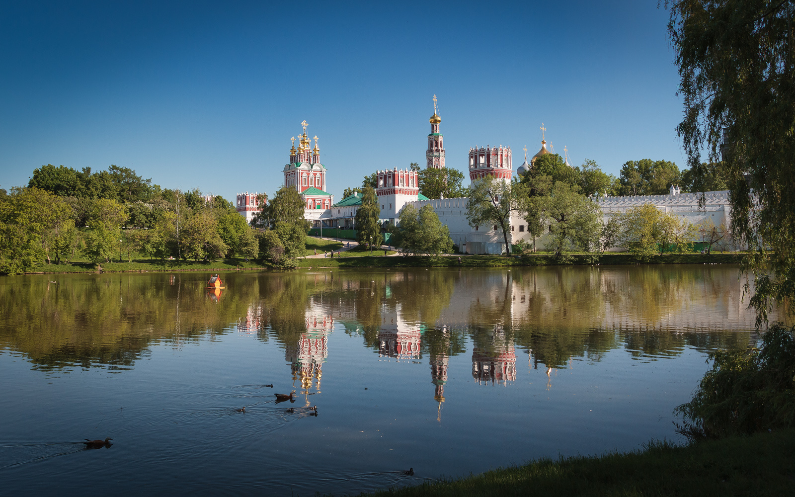 В летнем парке... парк лето