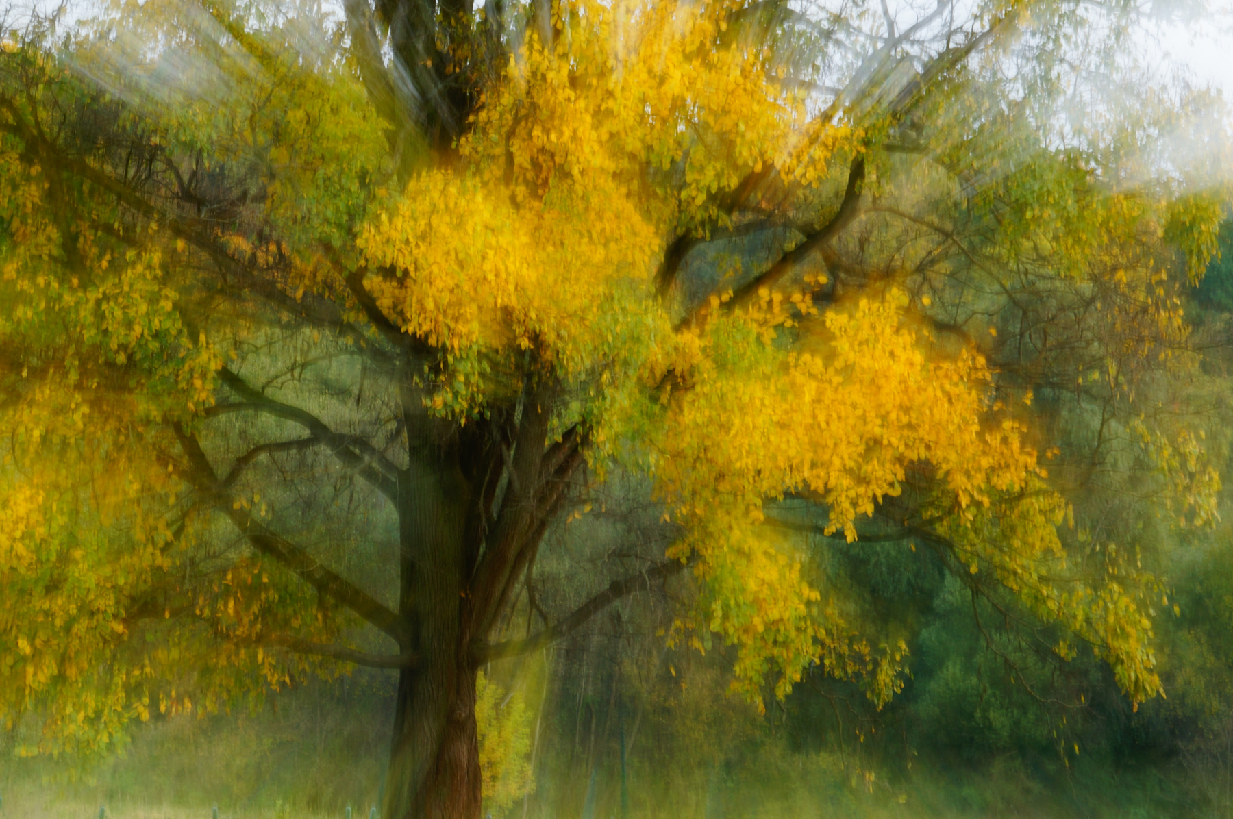 Impression 