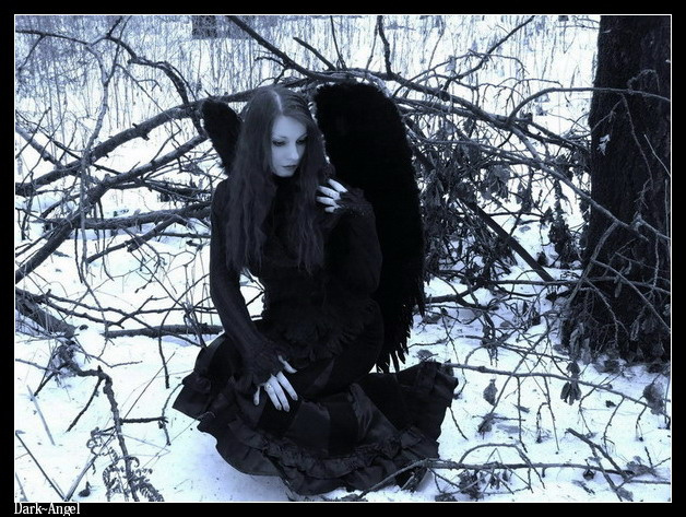 dark~angel dark~angel,крылья,деревья,лес