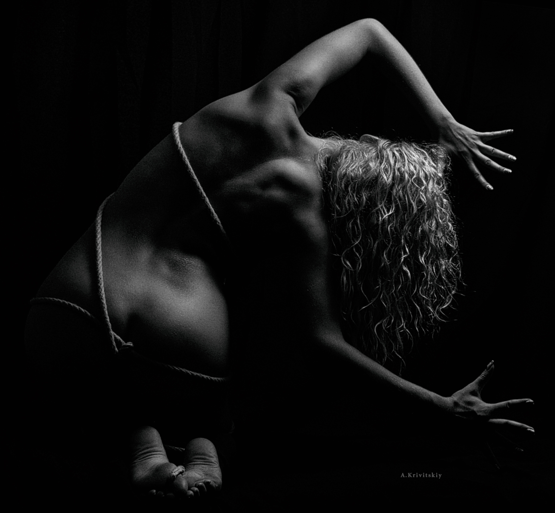 Portrait. Portrait  A. Krivitsky. Portrait studio A Krivitsky