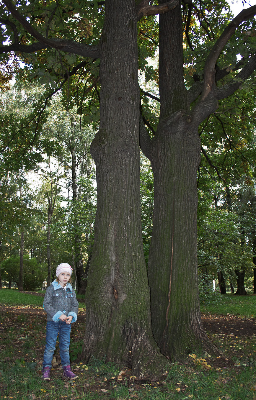 Осень 2011, стихи. 