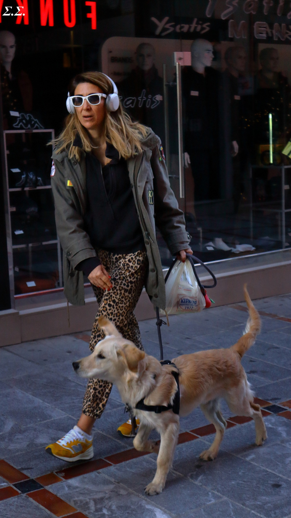 DOG WALK 