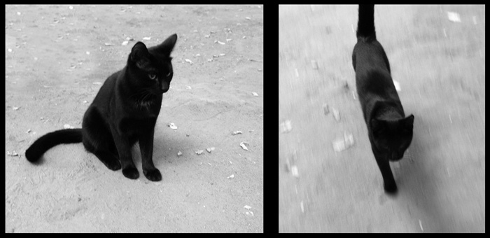 Black and white 