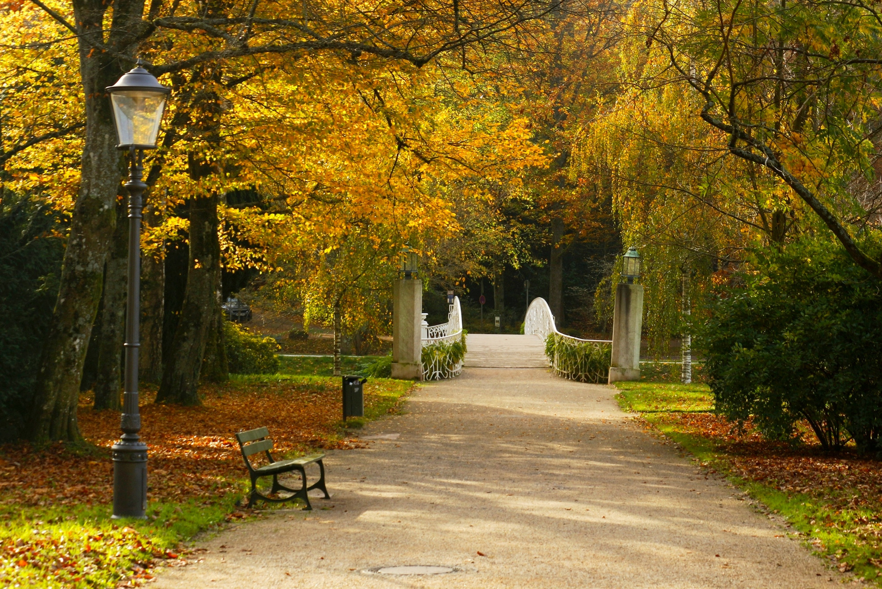 Прогулка по Лихтенталер аллее осень аллея baden-baden