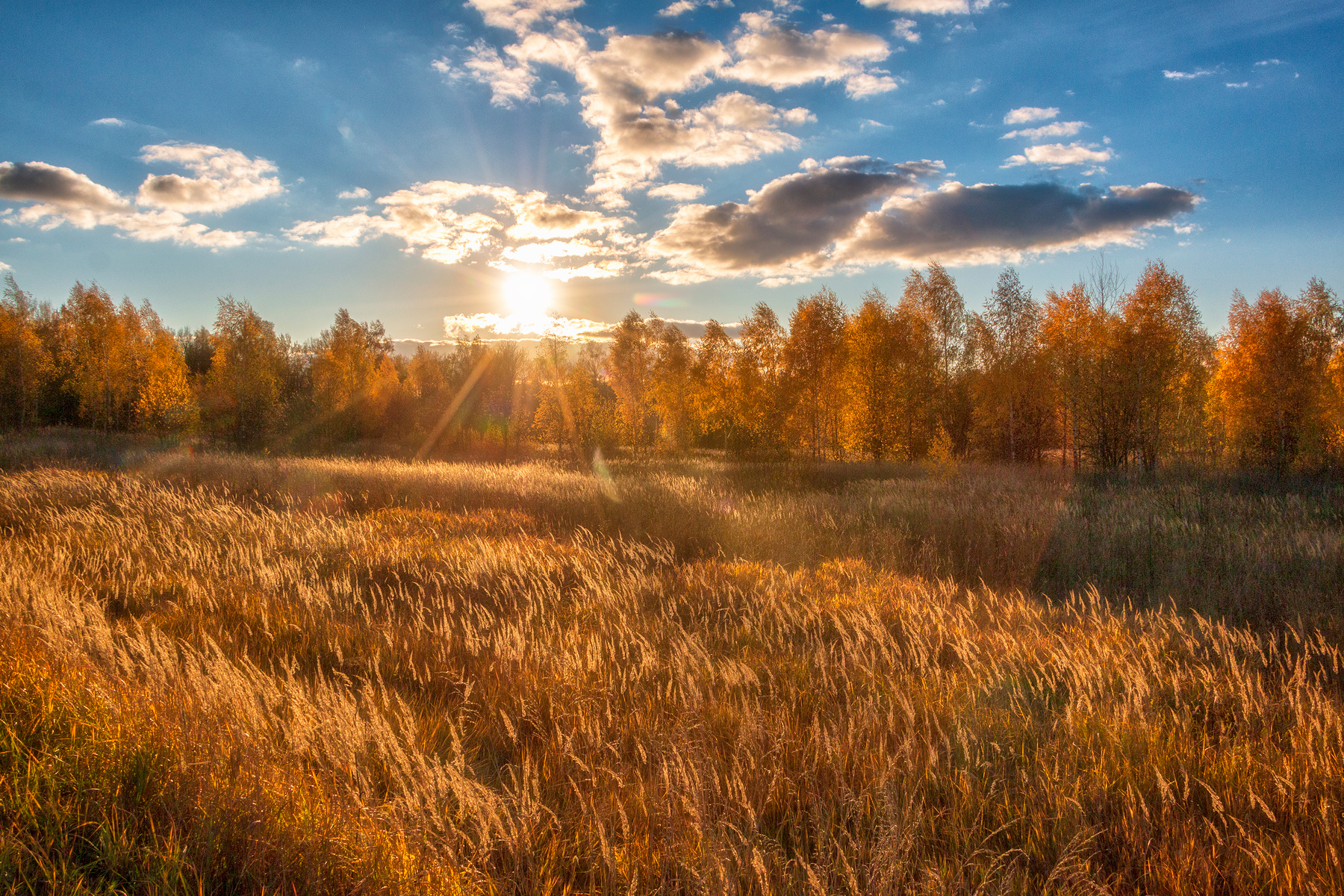Золотая осень 