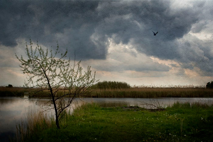 Перед грозой гроза, ветер
