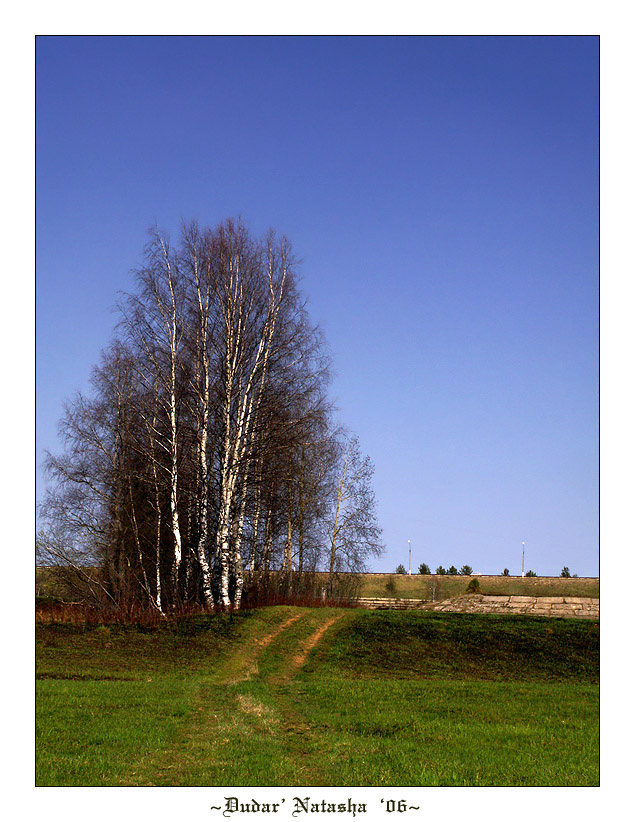 Тропинка в лето 