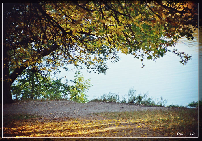 Осень 
