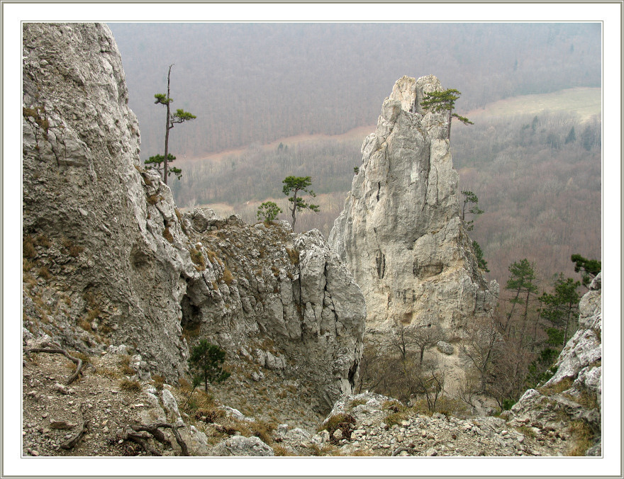 Скала 