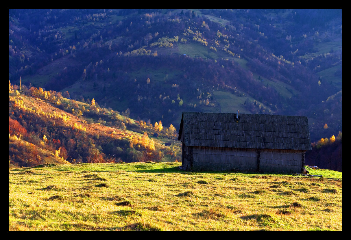 НА КРАЮ ОСЕНИ. Карпаты Горы Осень