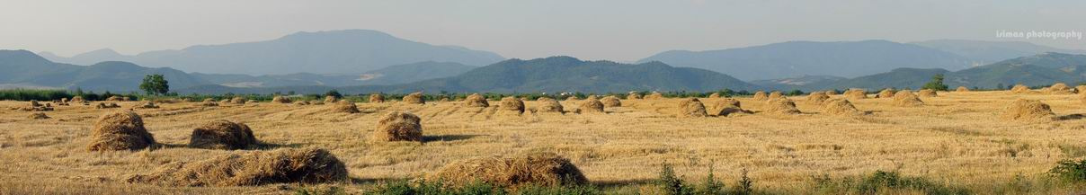 Сенокос Azerbaijan  Quba