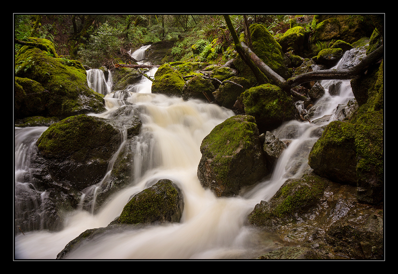 Лесные каскады лес водопад cataract falls Калифорния горы