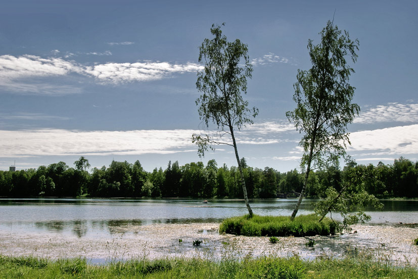 остров 