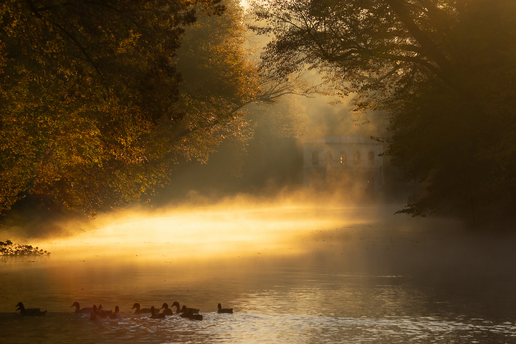 Autumn 
