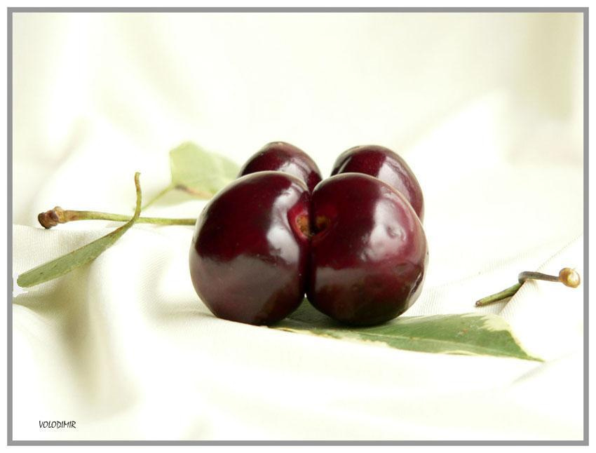 Sexy cherry выросли черешенки