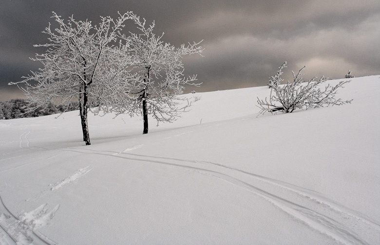 Winter scene of faery 