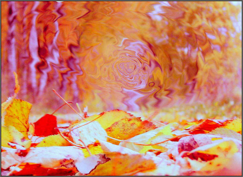 Fall Picture 