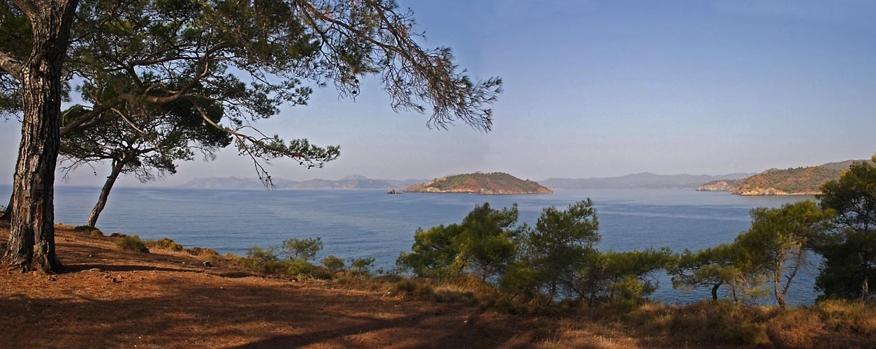 Про море и остров 2 сосны море острова