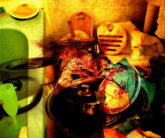 housewife's vision of life 
